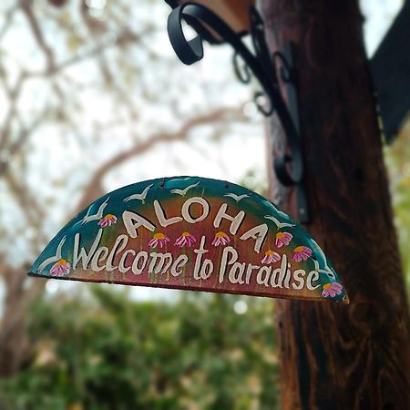 - Magic Bus - Otel Klorakas Dış mekan fotoğraf