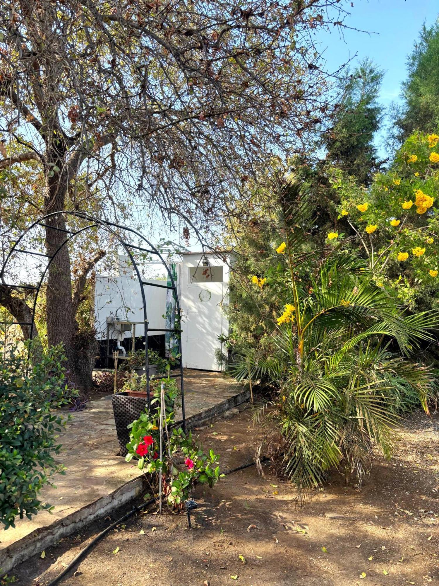 - Magic Bus - Otel Klorakas Dış mekan fotoğraf